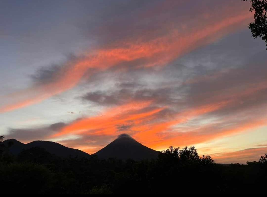 Cabana Rural Ave Del Paraiso La Fortuna Bagian luar foto