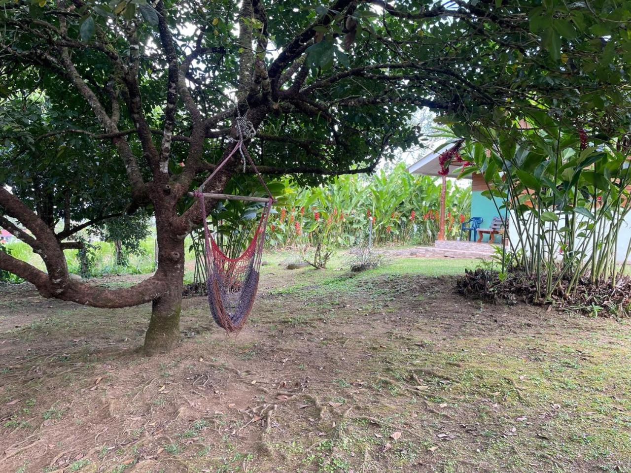 Cabana Rural Ave Del Paraiso La Fortuna Bagian luar foto
